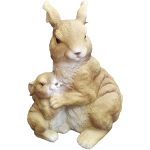 Зайцы и Кролики